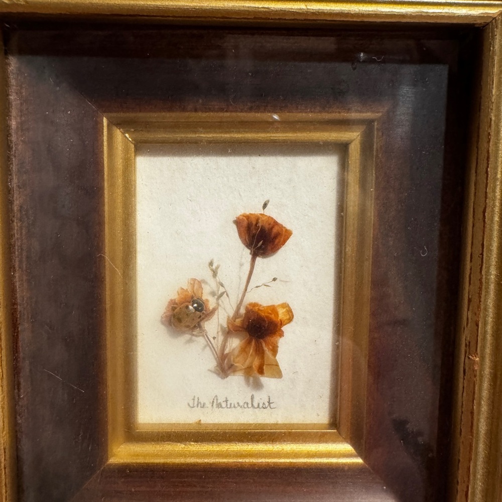 Vintage Framed Dried Flower Shadowbox EUC - Picture 5 of 10